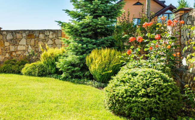 AdobeStock_183080338-min