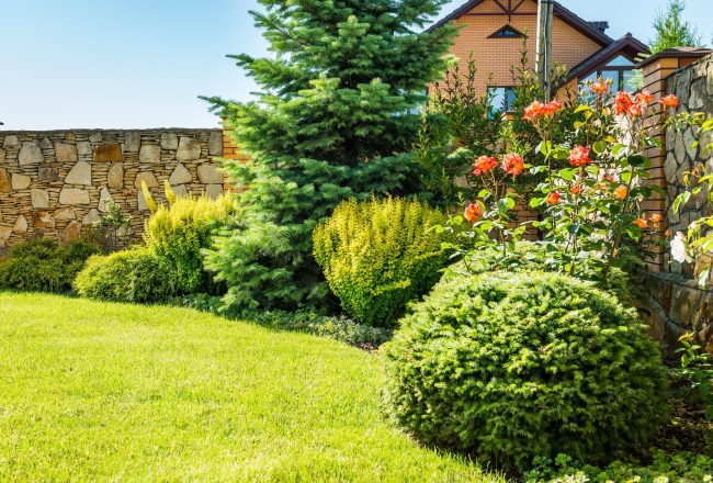 AdobeStock_183080338-min