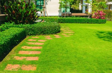 AdobeStock_210041352-1-min