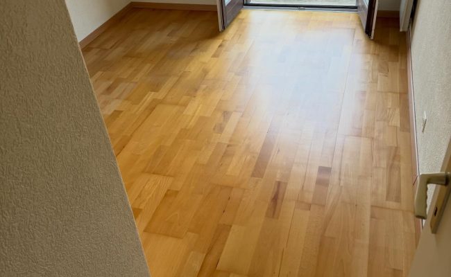 SaveClip.App_649924088_18097943267493474_9156839744254624253_n