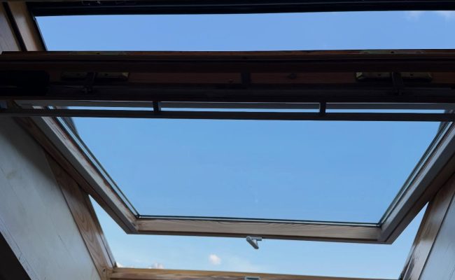 SaveClip.App_651423291_18098025071493474_7513146249285840414_n