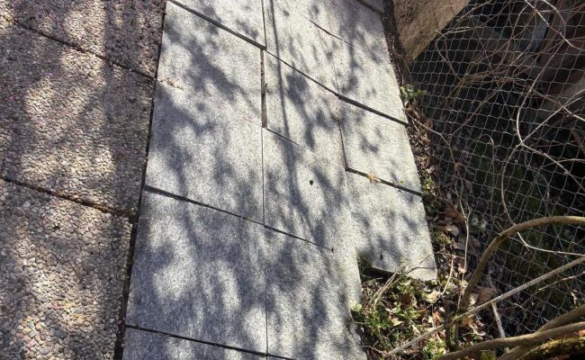 SaveClip.App_651454497_18098059457493474_6538478128580149393_n