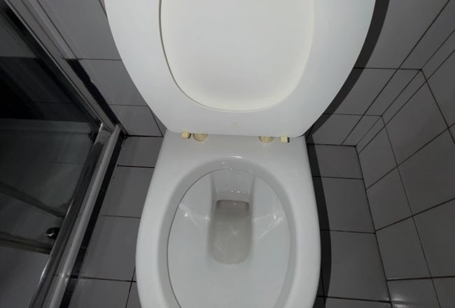 SaveClip.App_651545182_18097943468493474_4895069951974014048_n