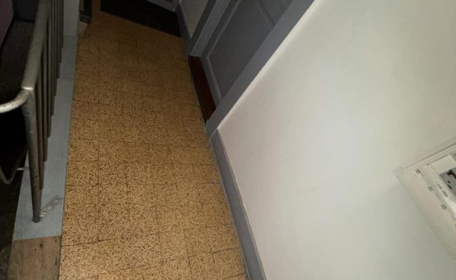 SaveClip.App_651549298_18098565698493474_3603647363040191233_n