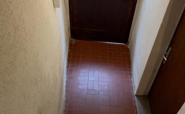 SaveClip.App_651899140_18098567333493474_5380139633484384834_n