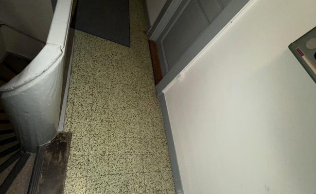 SaveClip.App_652696943_18098565662493474_3938634677055427945_n