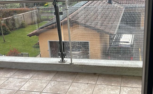 SaveClip.App_656294778_18099699644493474_7595121297884640836_n