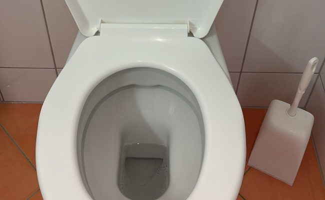 SaveClip.App_657835777_18099699578493474_4430035327201976485_n